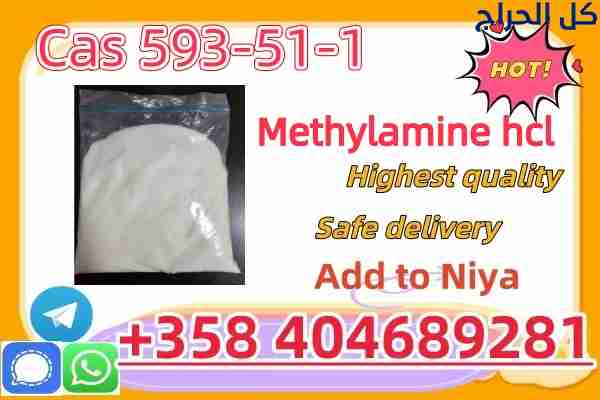 CAS 593-51-1 Methylamine hydrochloride Factory Supply High Purity 100% Safe Delivery