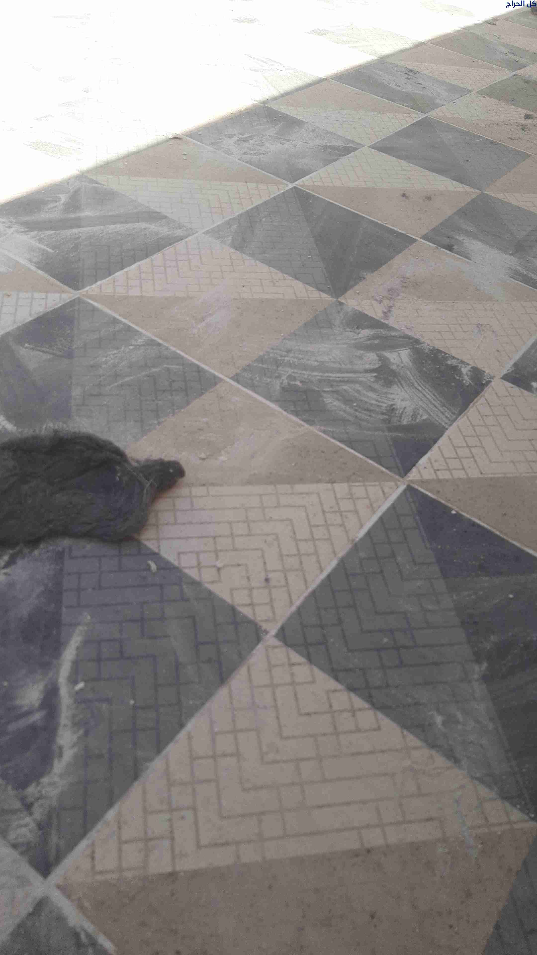 مبلط سيراميك بخميس مشيط