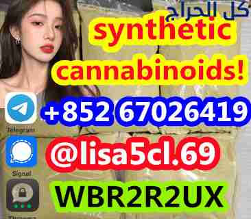 Yellow Powder Cannabinoid 5cl-Adb-A 5CL-ADB-A 5cla...