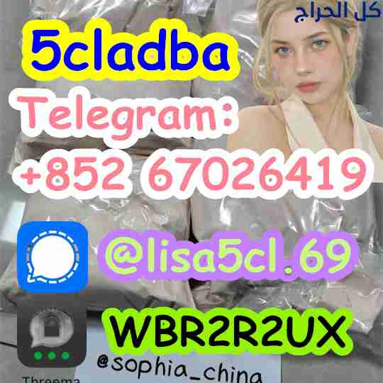 5cladba raw material 5CL-ADB-A precursor raw 5clad...