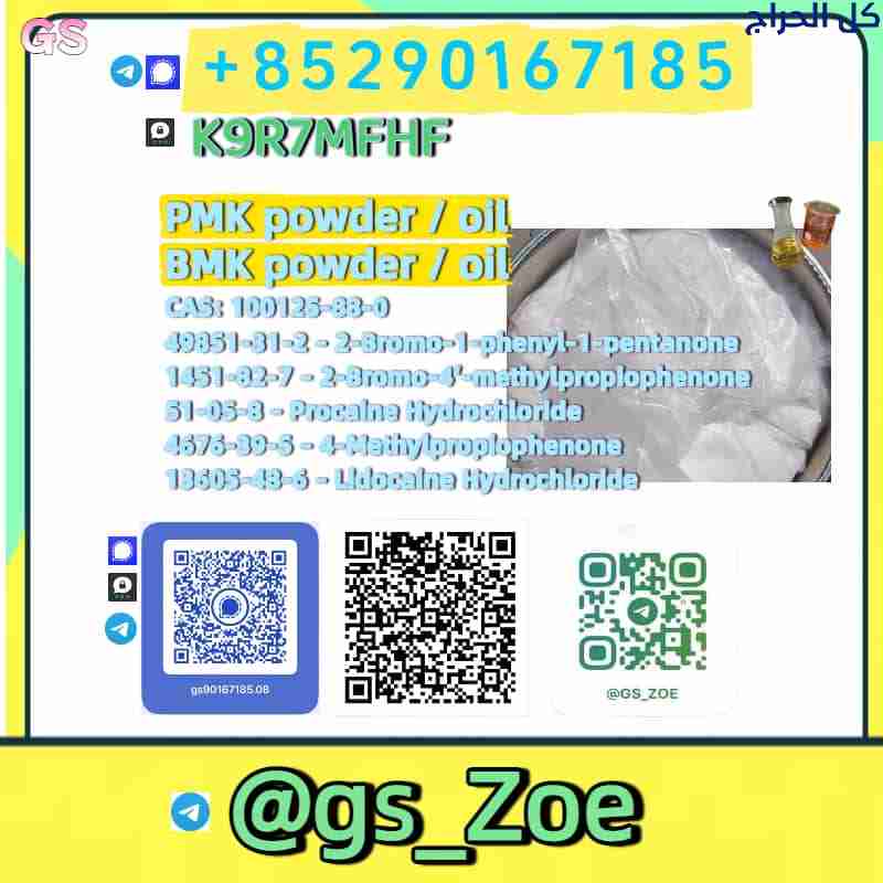 Global Exporter of new BMK CAS 1451-82-7 Powder