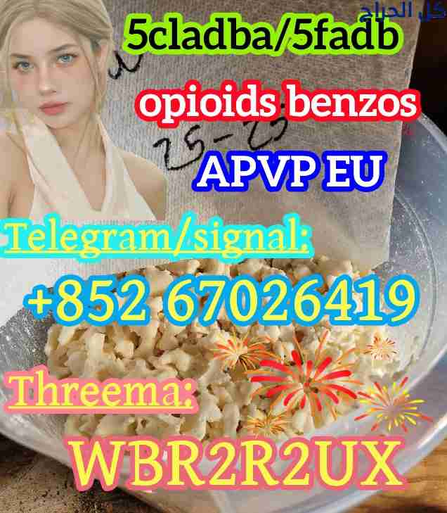 5Cladba 5Cladba Yellow Cannabinoid Powder 5CL-ADB-...